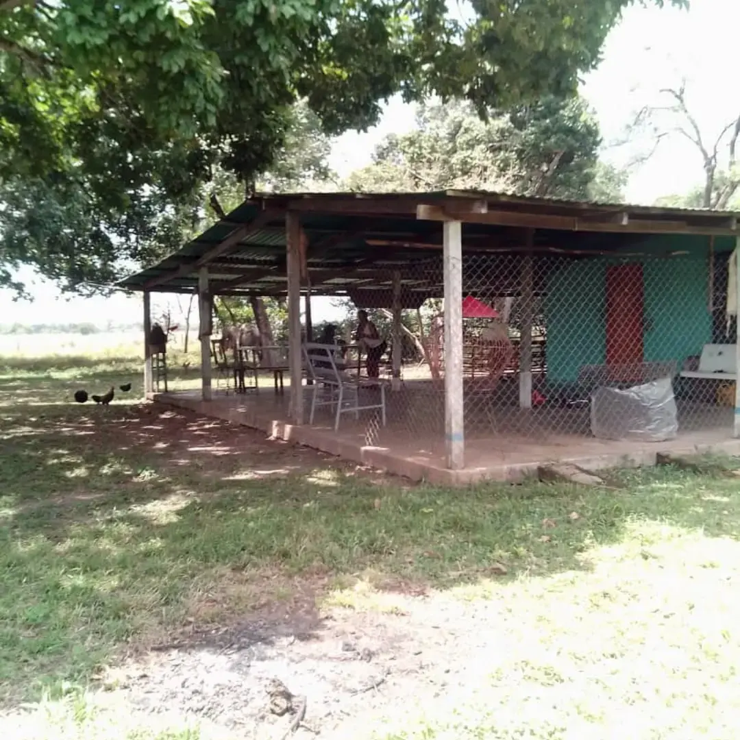 FINCA LA CORONELA – 677 HECTÁREAS PARA PRODUCCIÓN MIXTA