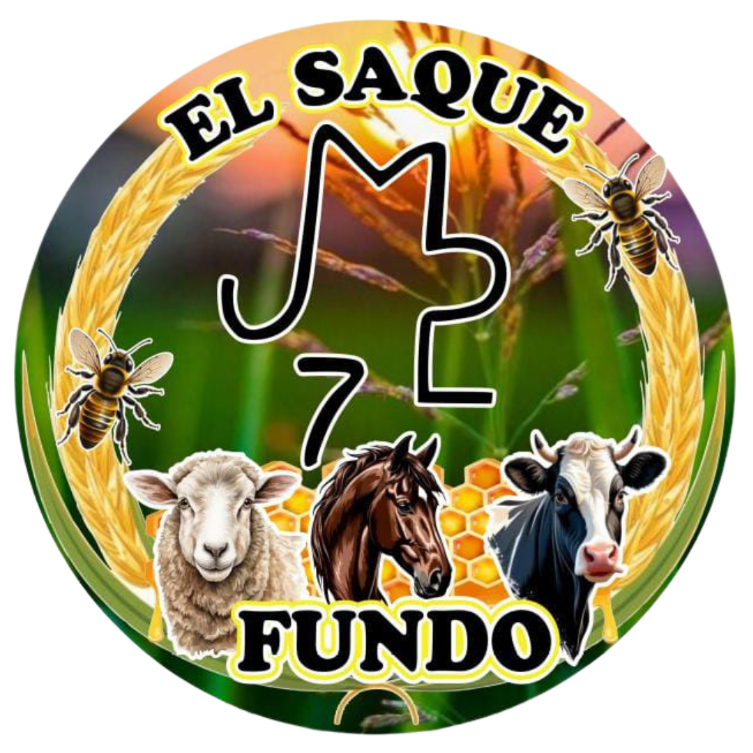 FUNDO EL SAQUE